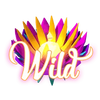 butterfly staxx powerpoints wild symbol