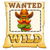 cactus cassidy wild symbol