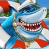 captain shark wild symbol