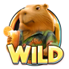 capycabana wild symbol