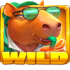 capypark symbol wild