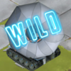 cash commander wild symbol
