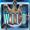 cash encounters wild symbol