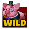 cash eruption hoggin cash symbol wild