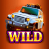 cash falls outback deluxe 96 wild symbol