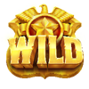 cash patrol wild symbol