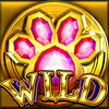 cat ching wild symbol