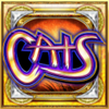 cats wild symbol