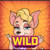 celebrity zoo wild4 symbol