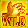 cg coin hold the spin wild symbol