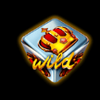 chance machine 5 dice wild symbol