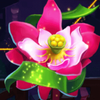 charming queens wild symbol