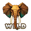 cheeky chimp wild symbol