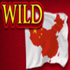 china wild symbol