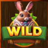 choco bunny hop wild symbol