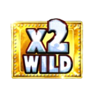 coin fall hold and win wild 2 symbol