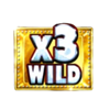 coin fall hold and win wild 3 symbol