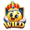 coin king beto wild symbol