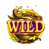 coin of life wild symbol