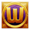 coin quest wild symbol