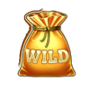 coin splash wild symbol