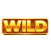 coin win express hold the spin wild symbol