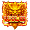 coins of dragon hold and win gold dragon wild symbol