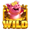 coins of oinks piggy wild symbol