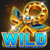 coins of ra wild symbol