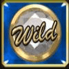cool diamonds 2 wild symbol