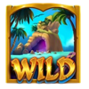 corsairs triumph wild symbol
