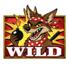 coyote gold wild symbol