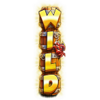 crabbys gold 2 wild 5 symbol