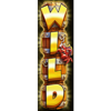 crabbys gold 3 wild 5 symbol