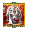 crouching tiger wild symbol