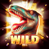 crystal vault wild symbol