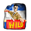 cyclone of jerez wild symbol
