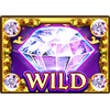 da vinci deluxeways 2 wild 2 symbol