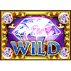 da vinci deluxeways 2 wild symbol