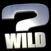 deal or no deal rapid round international wild symbol