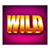 deal or no deal the big hit megaways wild symbol
