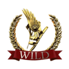 demi gods ii christmas edition wild 2 symbol