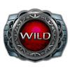 demi gods iii 15 lines wild symbol