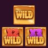 desert gem xwild symbol