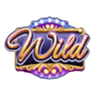 diamond hunter cash falls wild symbol