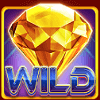 diamond plus wild symbol