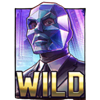 diamond raid wild symbol