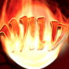 dice dragon wild 2 symbol