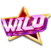 disco night wild symbol
