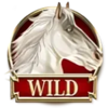 divine fortune gold wild symbol